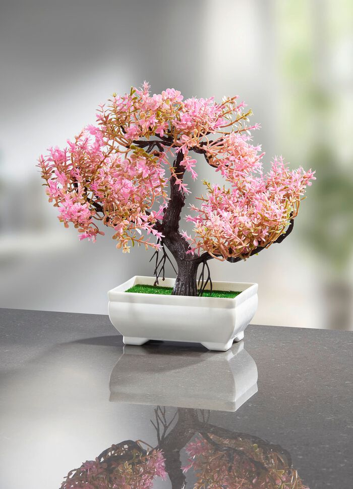 Bl&uuml;hender Bonsai 