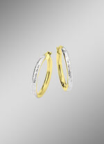 Wunderschönen Creolen 