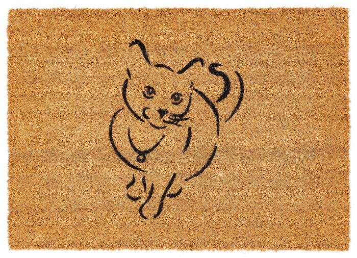 Hochwertige Kokosfußmatte 