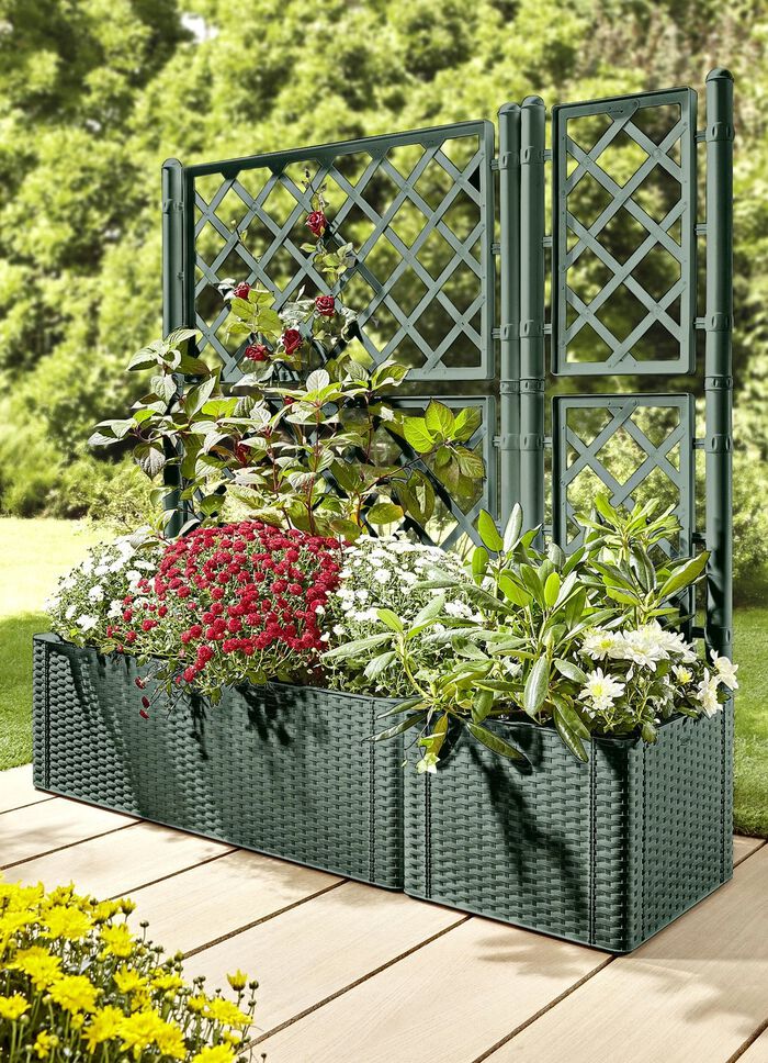 Pflanzkasten in Rattan-Optik GRÜN