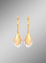 Bezaubernde Ohrringe in Tricolor 