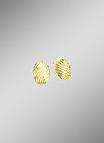 Tolle Ohrstecker mit Rillendesign 