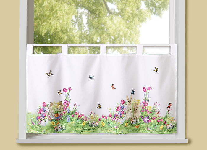 Kurzstore Häschen auf Schmetterlingswiese 