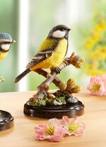 Vogel-Figur auf Zweig BUNT