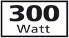 BADERde_DE1Logo_300Watt