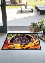 Fu&szlig;matte mit Igel-Motiv BUNT