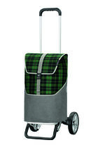 Alu Star Shopper® Gese aus hochwertigem Aluminium GRÜN