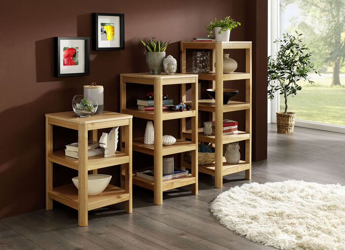 Vielseitiges Regal in toller moderner Optik KERNBUCHE