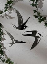 Wandeko Schwalbe, 3er Set 