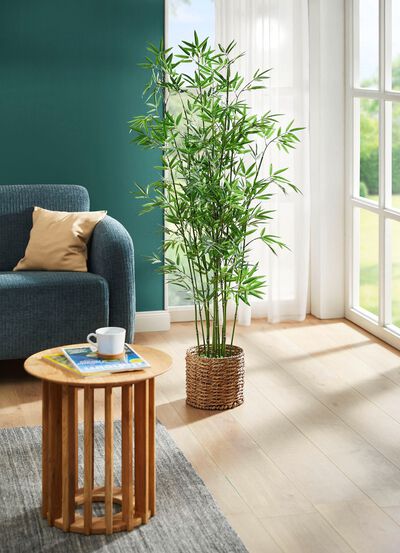 Bambus in Wasserhyazinthen-Korb 