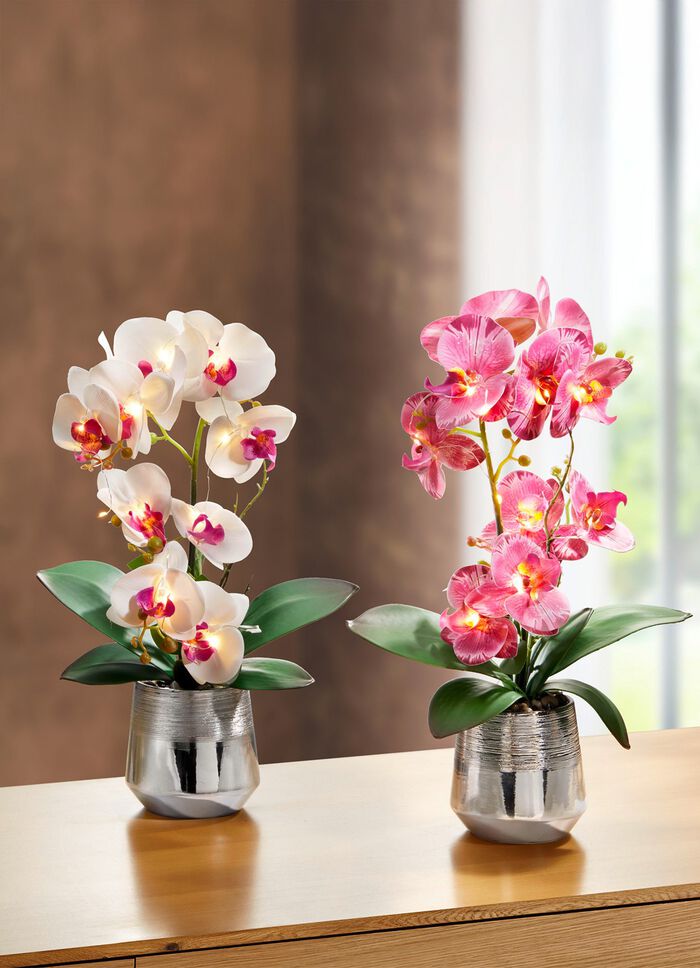 Beleuchtete Orchidee im Topf 
