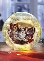 Glaskugel mit Beleuchtung 