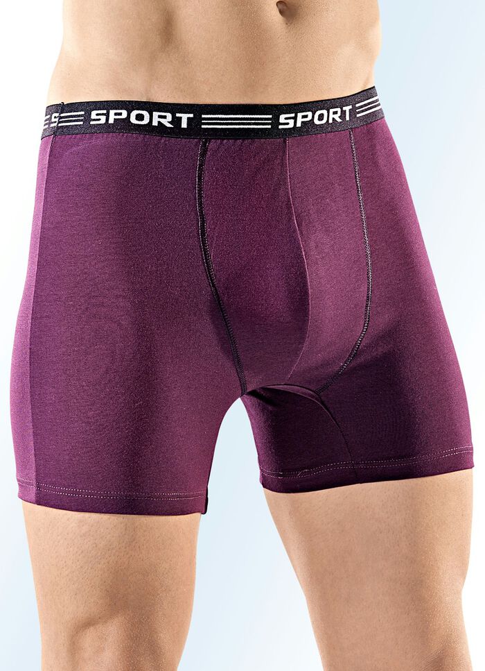 Viererpack Pants aus Feinjersey, uni bunt 