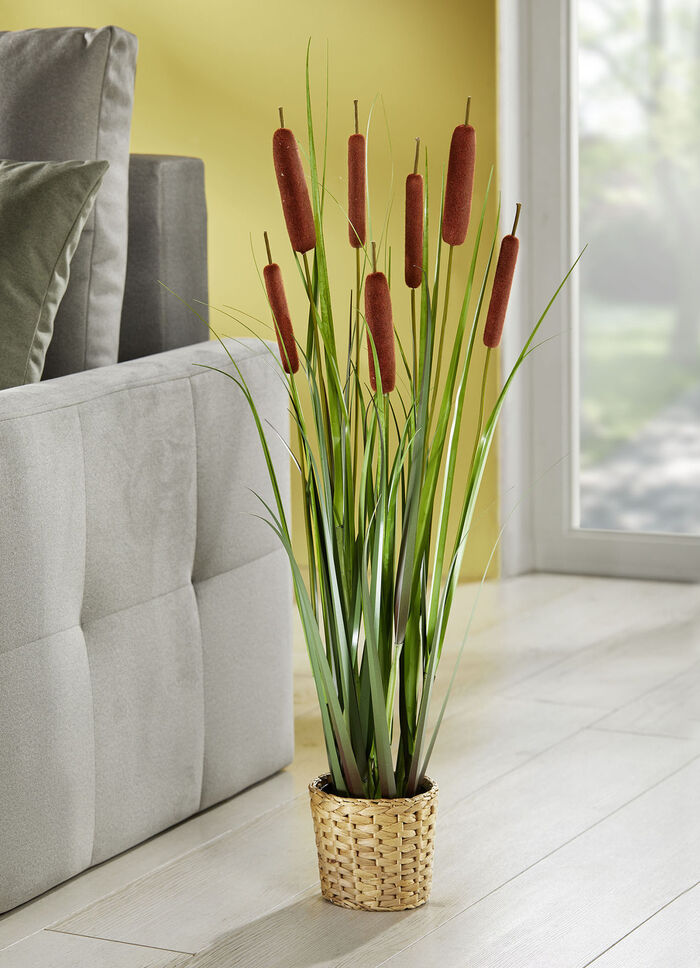 Täuschend echt wirkende Lampenputzer 