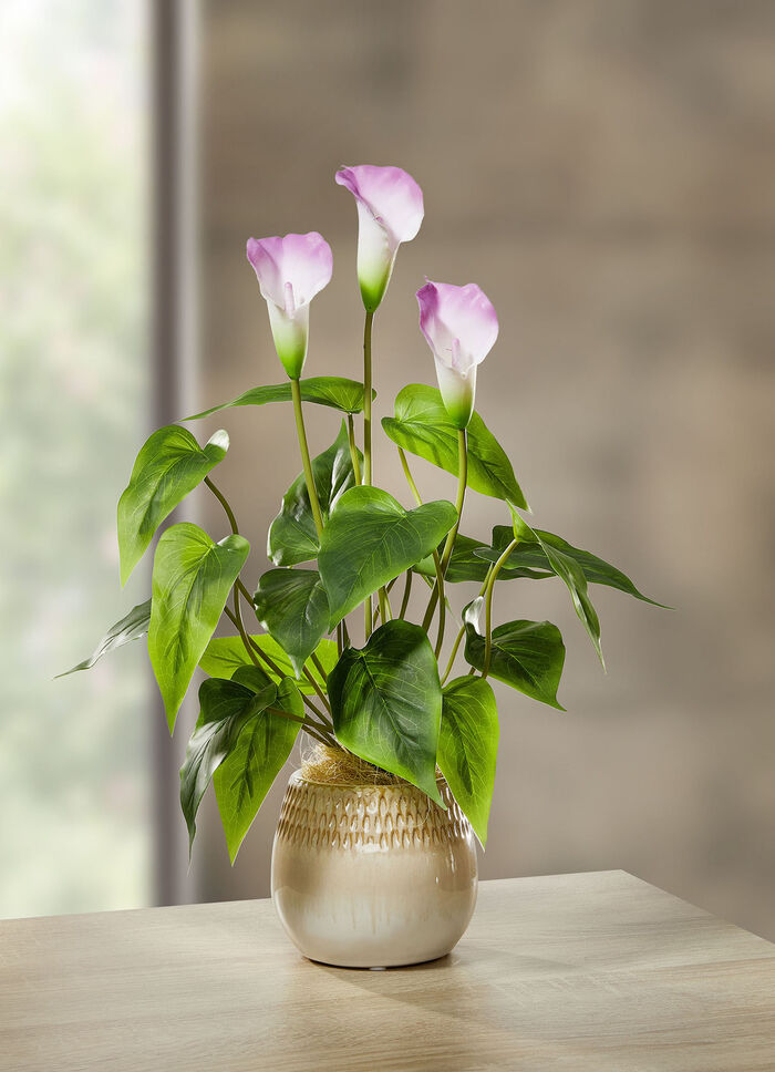 Galla-Gesteck im Keramiktopf 