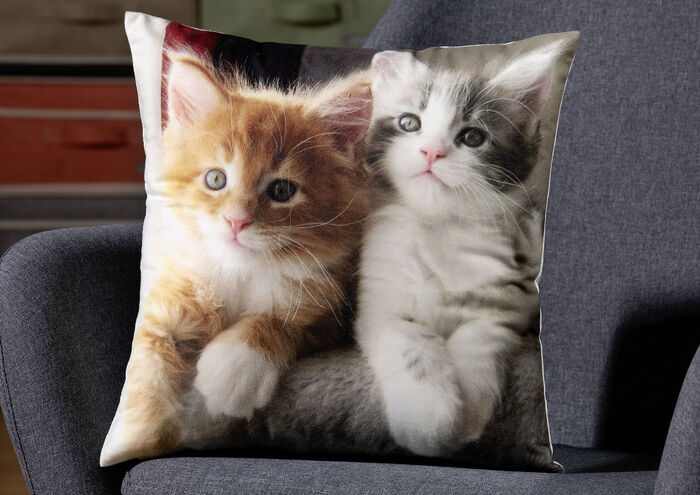 Kissenbezug mit Kätzchen-Motiv in Samtoptik BUNT