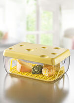 Käsebox mit Gitterboden für längere Frische 