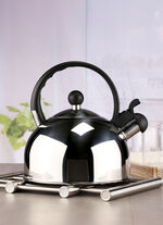 Flötenkessel aus rostfreiem Edelstahl 