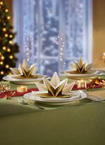 Gefaltene Servietten,  8er-Set 