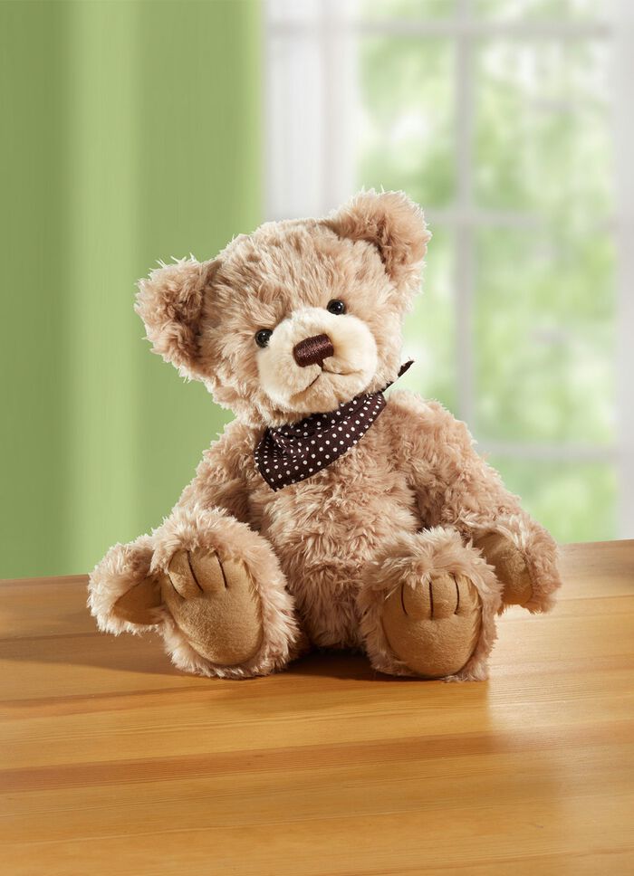 Teddy Joris aus Softpl&uuml;sch 