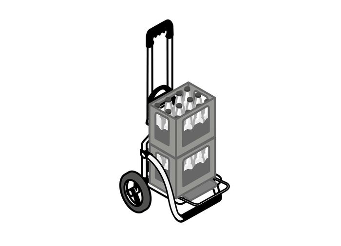 Leichter und leiser Einkaufsroller Royal Shopper GRAU