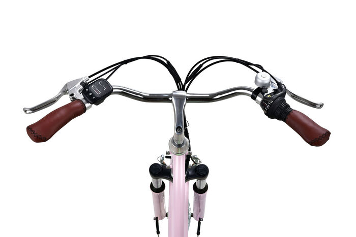 City-E-Bike mit Tiefeinstieg ROSA