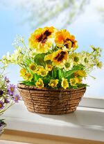 Stiefm&uuml;tterchen und Margeriten in Weidekorb 