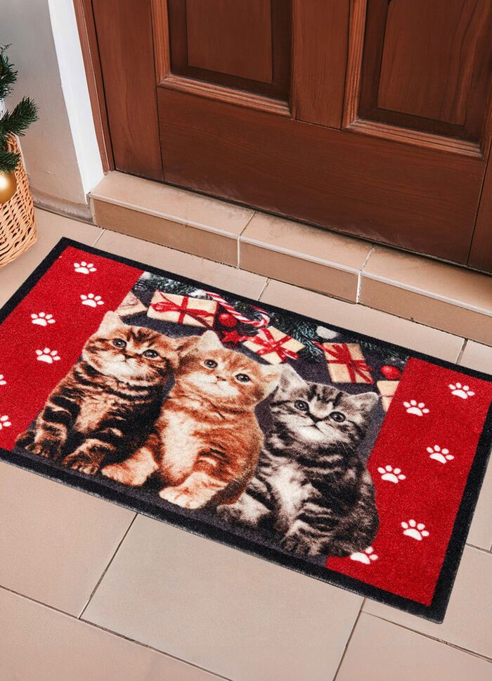 Fu&szlig;matte mit beschichteter R&uuml;ckseite 