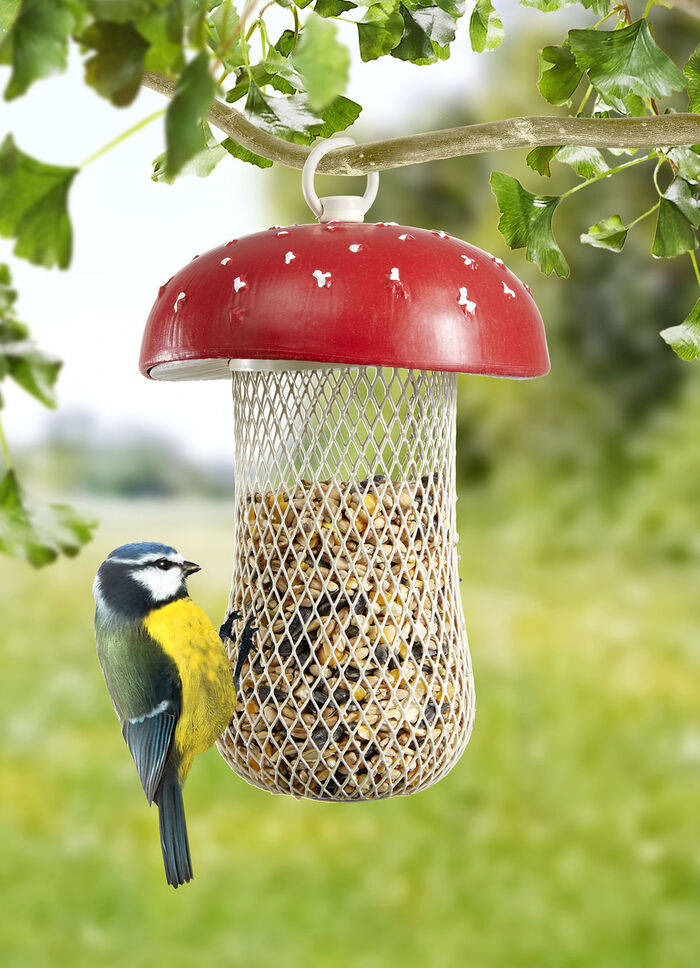 Futterstelle Fliegenpilz 