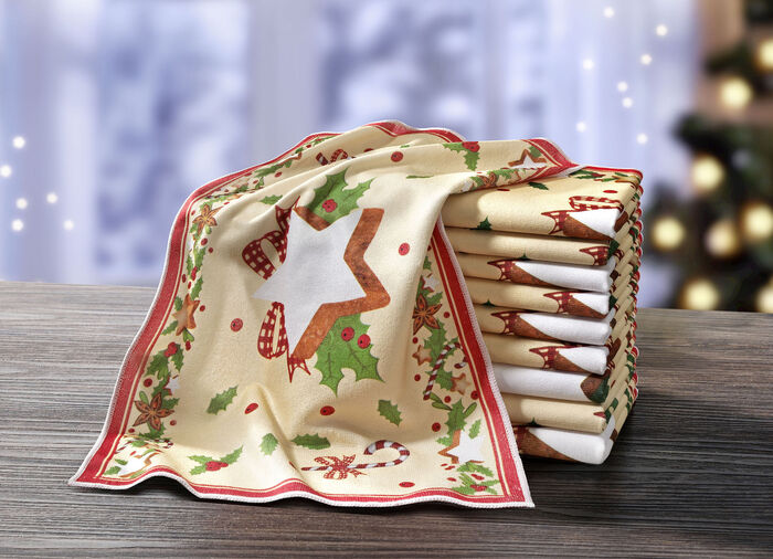 Mikrofaser-Geschirrt&uuml;cher, 10-teilig 