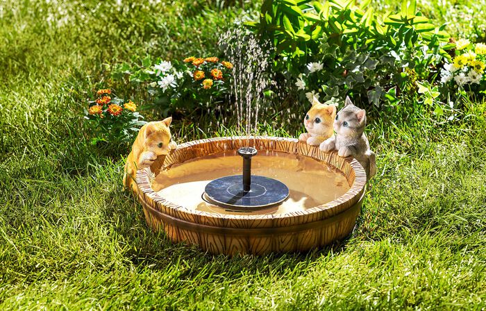 Pflanzschale "K&auml;tzchen" 