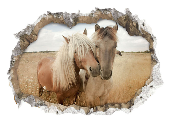 3D-Wand-Tattoo mit beeindruckendem 3D-Effekt 