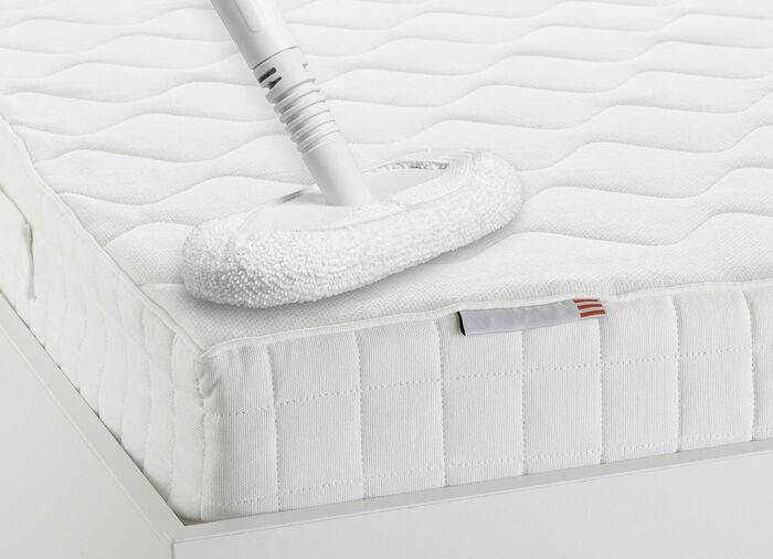 Genius Invictus Hand- und Bodendampfreiniger 