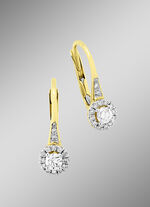 Ohrringe mit Brillanten 