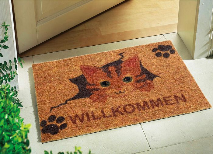 Fu&szlig;matte mit rutschhemmender Viny-R&uuml;ckseite BRAUN