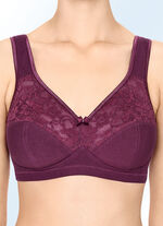 Zweierpack Susa BH mit Baumwolle 1X BORDEAUX, 1X MARINE