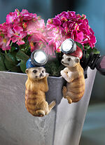 Solar-Topf-Deko "Erdmännchen", 2er-Set 