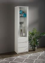 Vitrine in modernem Design 