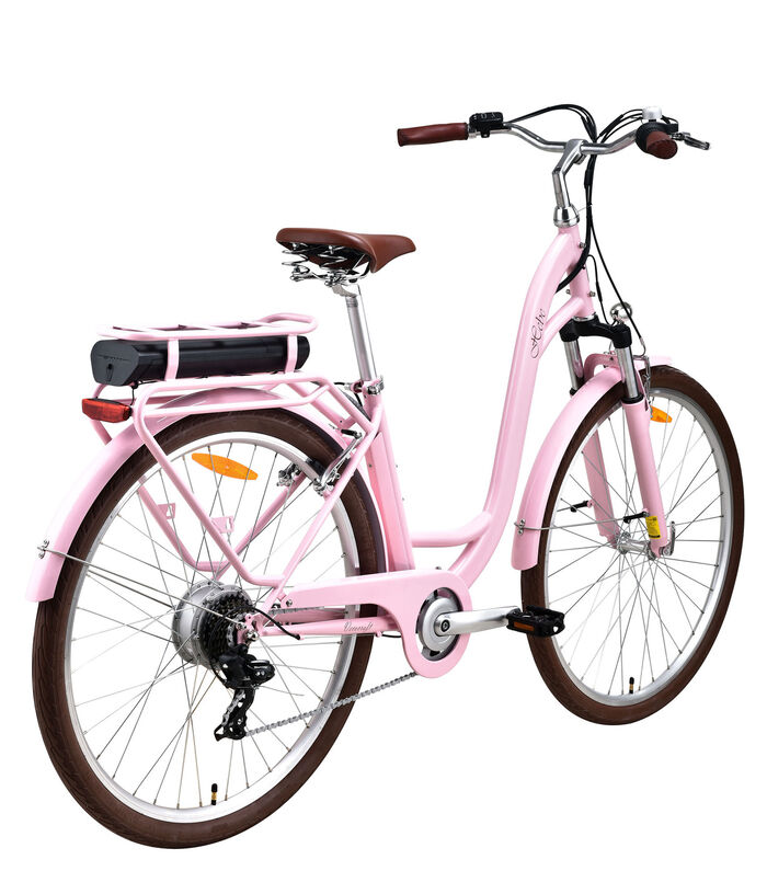 City-E-Bike mit Tiefeinstieg ROSA
