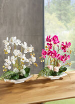 Orchideen-Arrangement in Schale ROSA
