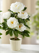 Päonienbusch im Topf aus Kunst- und Textilmaterial WEISS