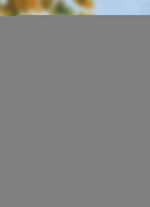 Fensterbild aus echter Plauener Spitze 