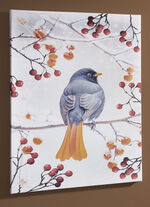 Bild Vogel des Jahres 2025 Hausrotschwanz auf Leinwand BUNT