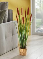 T&auml;uschend echt wirkende Lampenputzer 