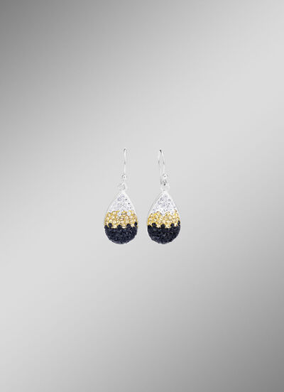 Funkelnde Ohrhaken mit Swarovski-Elements 