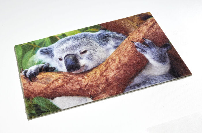 Fu&szlig;matte Koala mit rutschhemmender Gummi-R&uuml;ckseite 