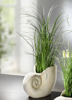 Grasbusch aus Kunstmaterial in Muschel GRÜN-CREME