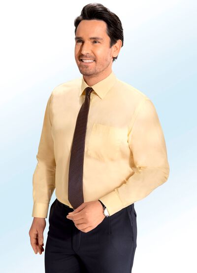 B&uuml;gelleichtes Hemd in 6 Farben  