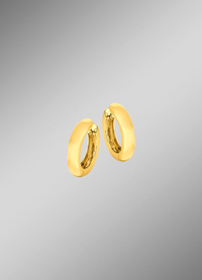 Klassische, gl&auml;nzende Klappcreolen 