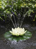 Solar-Seerose in verschiedenen Farben WEISS